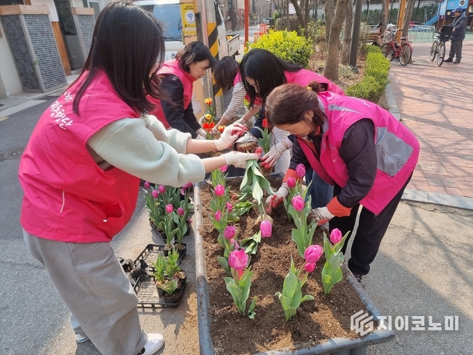4월 2일 망원1동 직원들과 새마을부녀회, 실뿌리복지동행단이 꽃길을 조성하고 있다. 마포구청 제공.