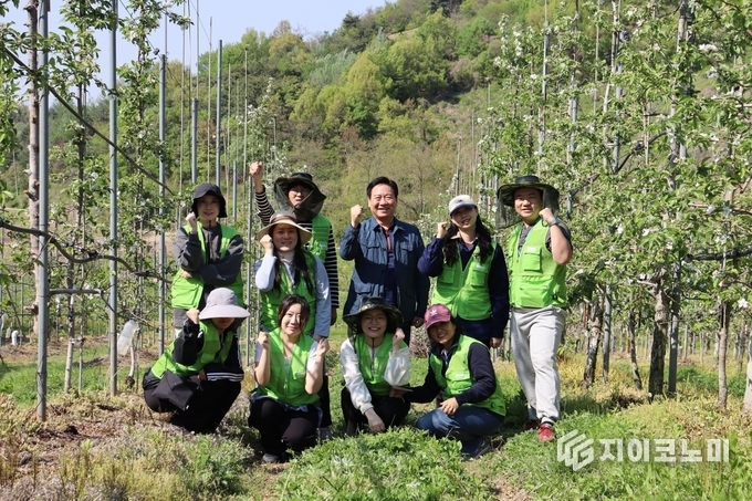사과밭에 핀 나눔의 손길, 충남문화관광재단 임직원 봉사단 농촌 일손돕기 나서