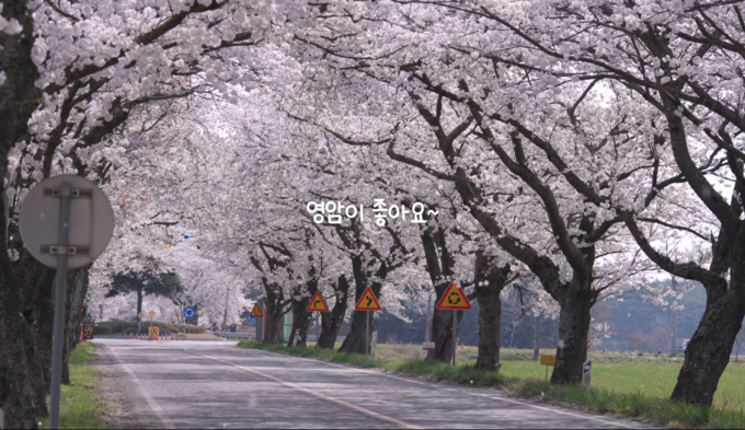 생성형AI 제작 홍보 음악 영암이 좋아요 화면 캡쳐. 영암군 제공
