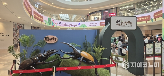 5월 23일 ~ 6월 8일까지 여주곤충박물관이 스타필드 고양점에서 운영 중인 팝업스토어가 지난 주말 약 1만여 명의 방문객을 기록하며 성황리에 진행 중이다. /사진=여주곤충박물관
