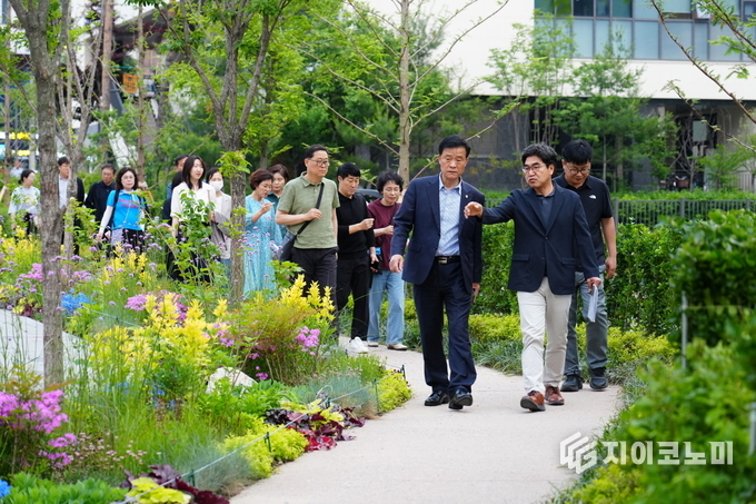 이승로 성북구청장이 도시바람길숲 조성사업 대상지를 점검하고 있다.