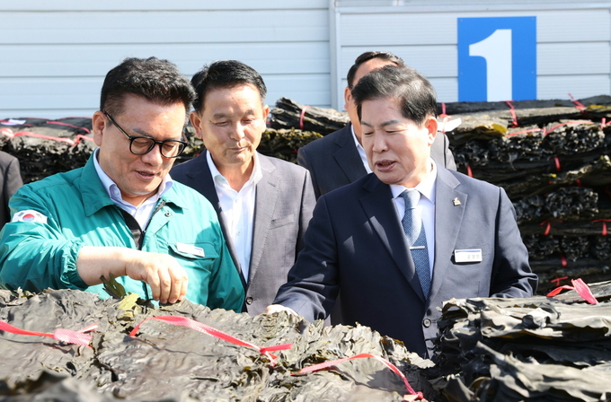 공영민 고흥군수가 2025년산 마른 다시마 초매식에서 고흥군수협 오천 위판장을 찾아 다시마를 살펴보고 있다. 고흥군 제공