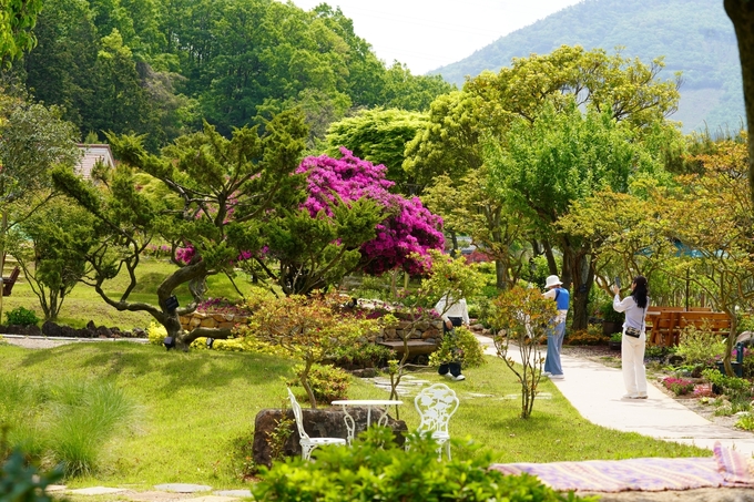 전국에서 모은 수목으로 수놓은 비밀의 정원, 삼산면 ‘비원’의 초여름 풍경. 해남군 제공