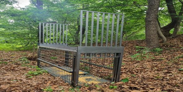 추가로 설치된 멧돼지 포획틀 (사진=파주시)