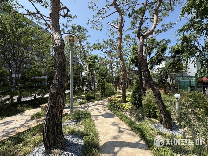 고려대학교 구로병원 나눔숲 사진. 구로구 제공.