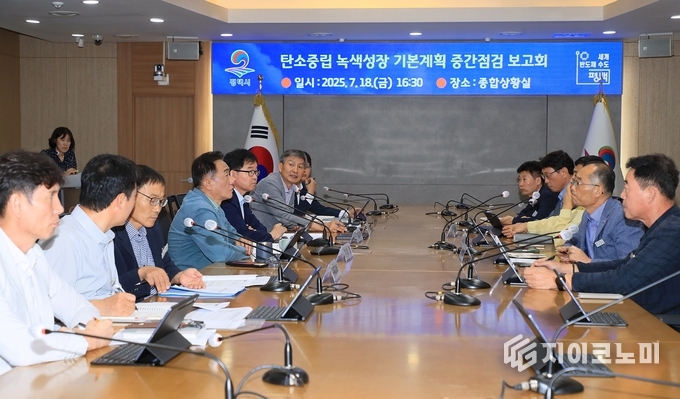 탄소중립 녹색성장 기본계획 중간 점검 보고회 모습. 평택시 제공.