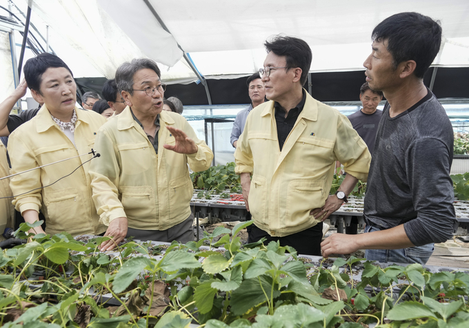강기정 광주광역시장이20일 오전 김민석 국무총리와 폭우 침수 피해 지역인 북구 용강동 하신마을 딸기재배 시설하우스를 살펴보고 있다.광주광역시 제공