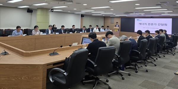 전라남도는 24일 전문가 간담회 통해 RE100 특별법 대응과 기술 중심 에너지 정책 방향 모색했다. 전남도 제공