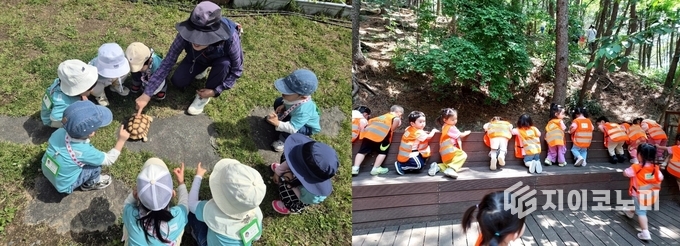 성북구 유아 숲 학교 프로그램에 참여한 아이들 모습. 성북구 제공.