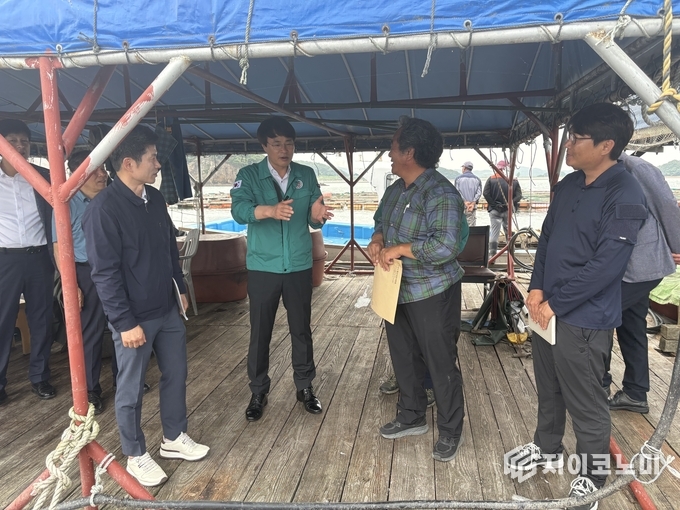 충남도 해양수산국장 고수온 현장 사전점검