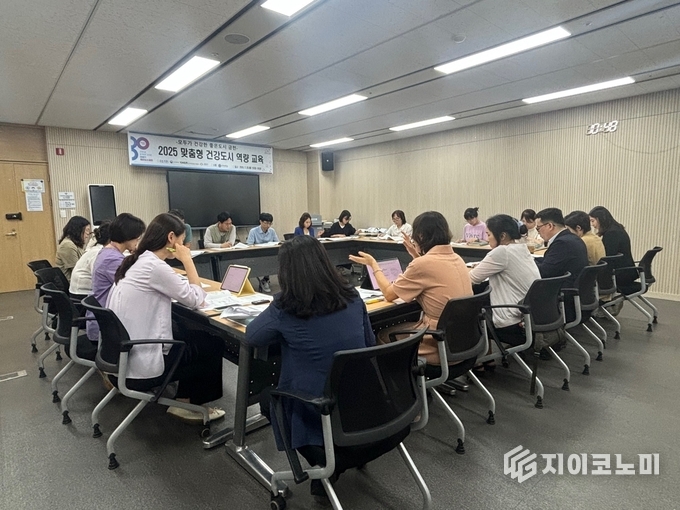 복지부 2025 건강도시 컨설팅 자문단과 금천구 보건소 팀장들 간 논의 모습. 금천구 제공.