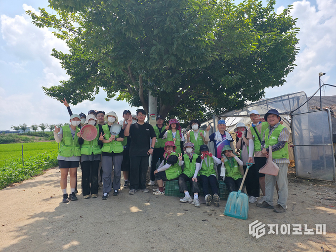 “충남문화관광재단, 아산시 딸기농가를 찾아 수해복구 봉사활동”