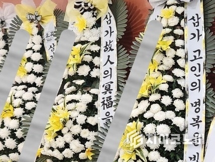 참조사진