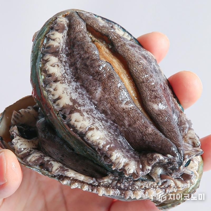 해남전복