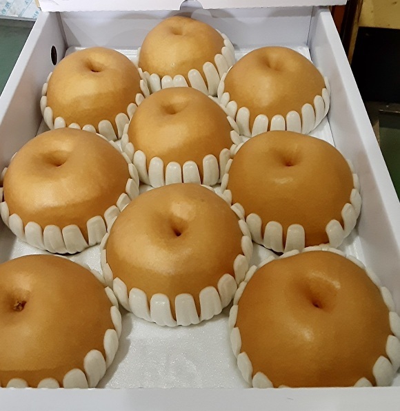 전남 순천 낙안배