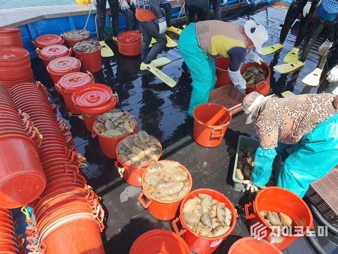 충남도, 해양수산부 주관 평가 보령 장고도, 자율관리어업 우수공동체 선정
