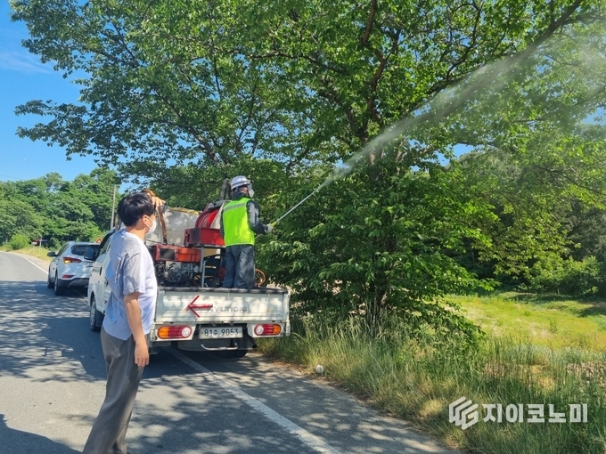 돌발해충 방제. 전라남도 제공