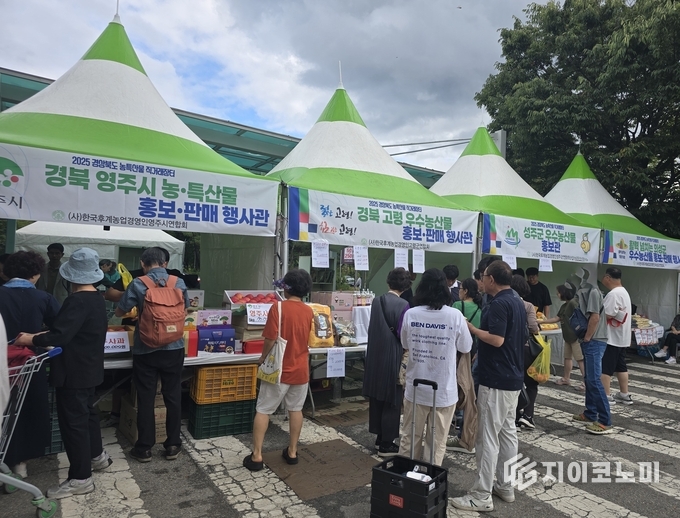농협 성남유통센터 “2025 경상북도 농특산물 직거래장터”를 찾은 시민들/뉴스아이이에스