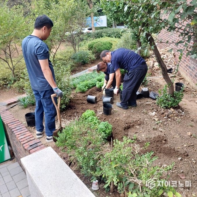 직원들 힘 모아 화단에 가을 색 입히는 장면.