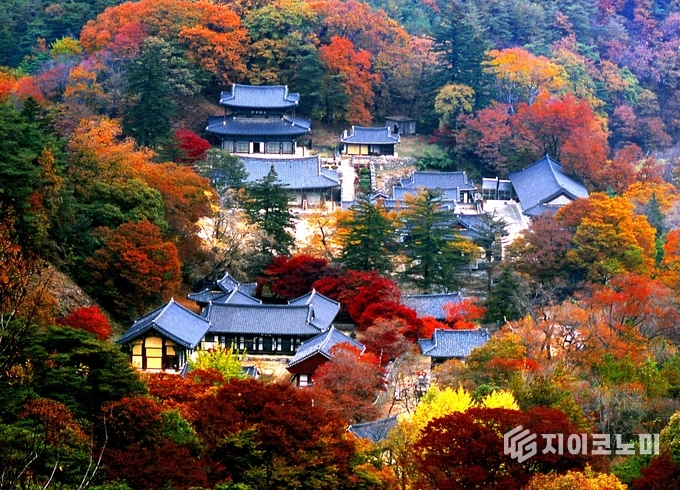 10월의 충남 대표 관광지로 선정, 공주 마곡사
