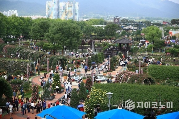 지난 5월, 곡성 섬진강기차마을 장미축제장을 찾은 관광객들이 만개한 장미꽃을 감상하며 축제장을 거닐고 있다. 곡성군 제공
