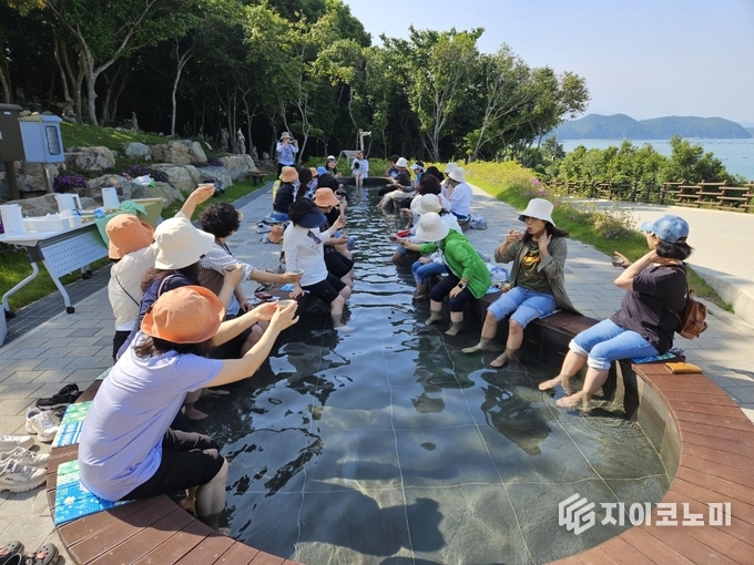 완도 약산 해안치유의 숲에서 진행된 족욕 프로그램에 참가자들이 자연 속에서 편안한 시간을 보내며, 산림과 해양의 치유 효과를 동시에 경험하고 있다. 완도군 제공