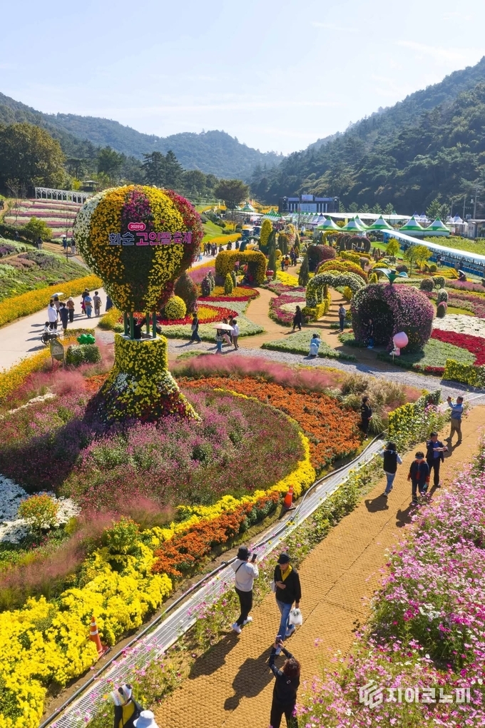 2025 화순고인돌가을꽃축제장 모습