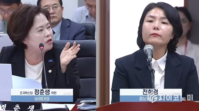 국회 행정안전위원회 충남도청 국정감사 정춘생 의원, 전희경 충남연구원장