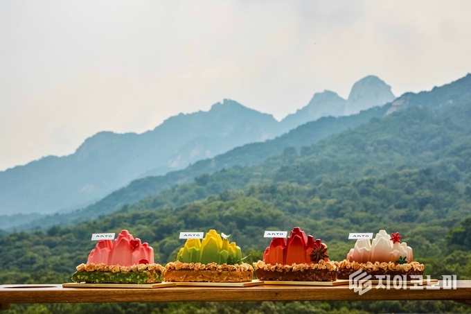 안토 델리 시그니처 북한산 포시즌 케이크_사진제공 안토