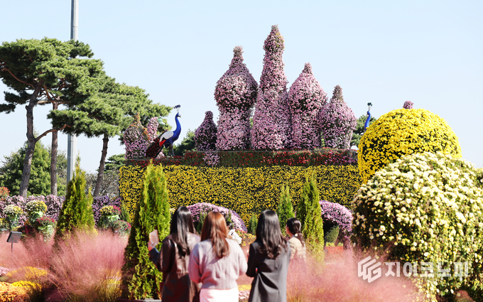 국화꽃으로 뒤덮인 ‘마법의 성’ 앞에서 관람객들이 형형색색의 조형물과 함께 가을 정취를 만끽하고 있다. 함평군 제공