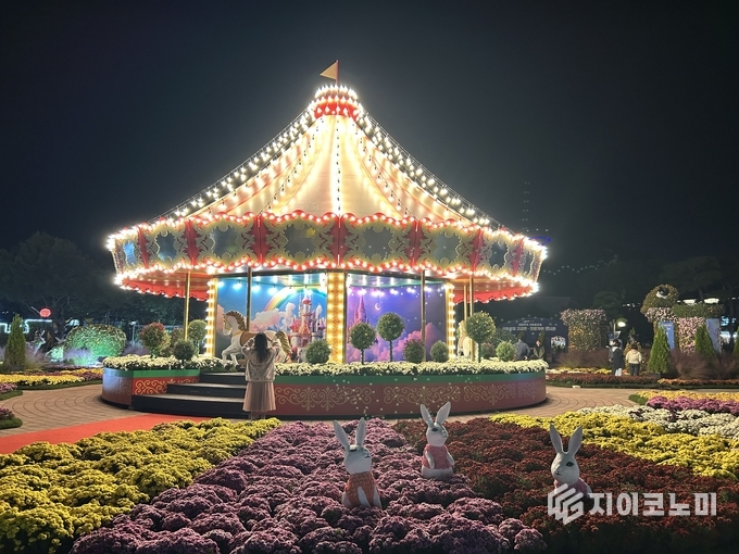 올해 국향대전의 하이라이트인 회전목마와 접시컵이 국화꽃 장식과 함께 운영되며 관람객들에게 동화 같은 즐거움을 선사하고 있다. 함평군 제공