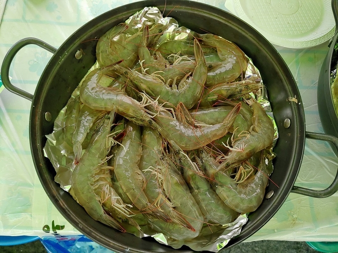 이미지 미리보기