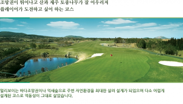 부영CC 코스 전경